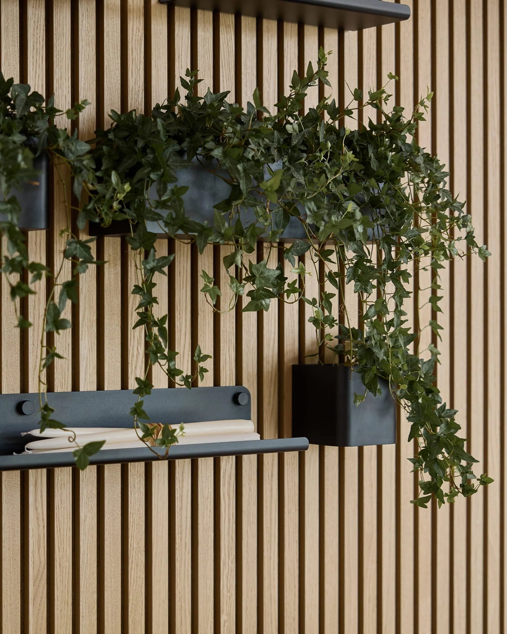 CREATE | Norr Plant Box