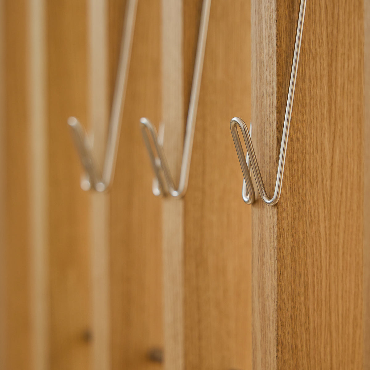 EMBRACE | Alva Wire Hook (3pcs)