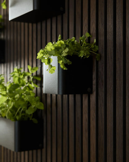 CREATE | Norr Plant Box