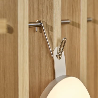 EMBRACE | Alva Wire Hook (3pcs)